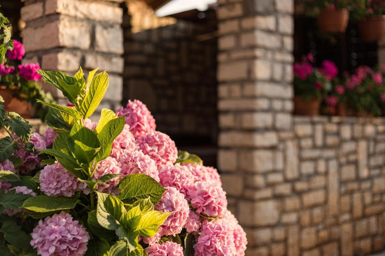 Apartments Contessa Novigrad (Istria) Exterior foto